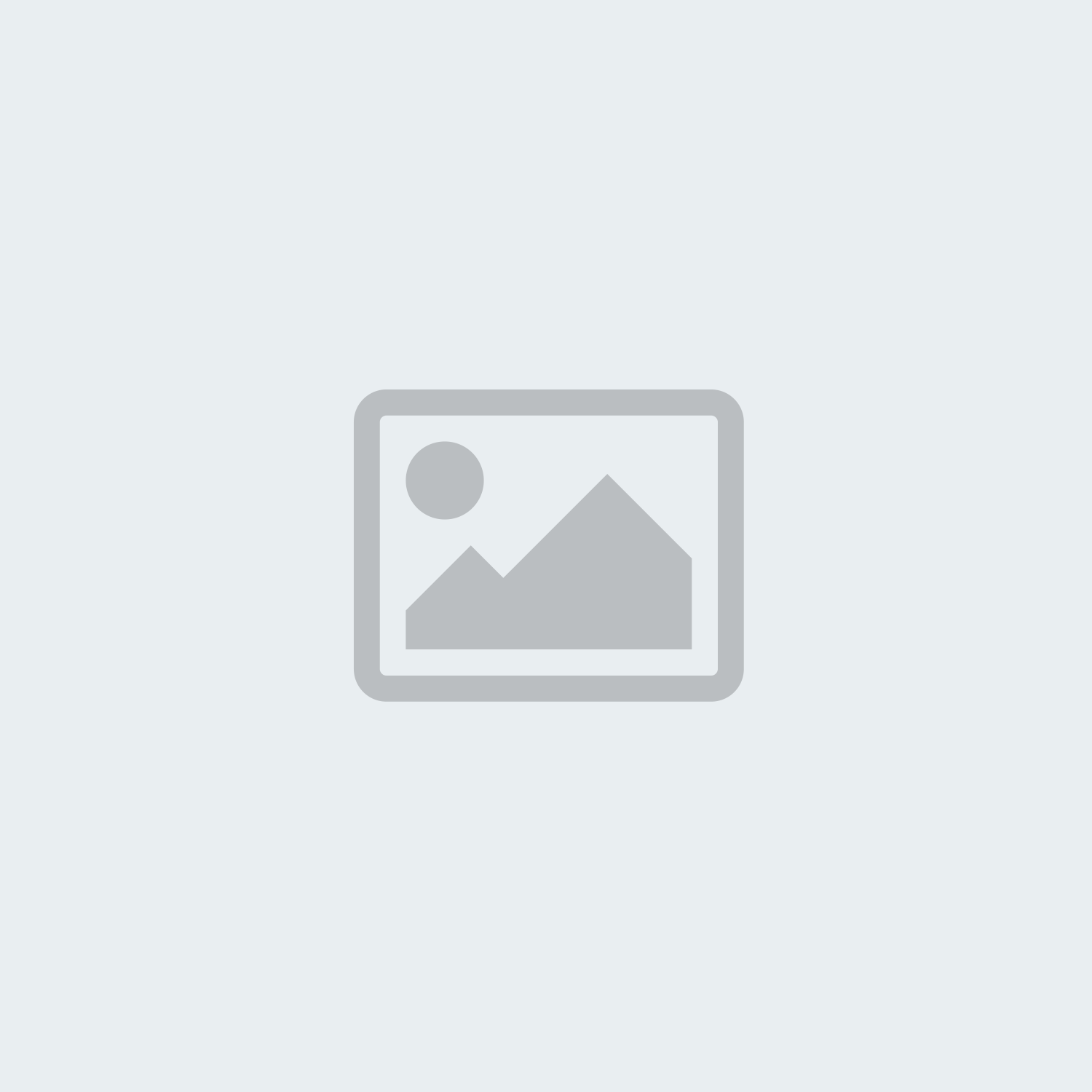 پاور بانک چیست؟